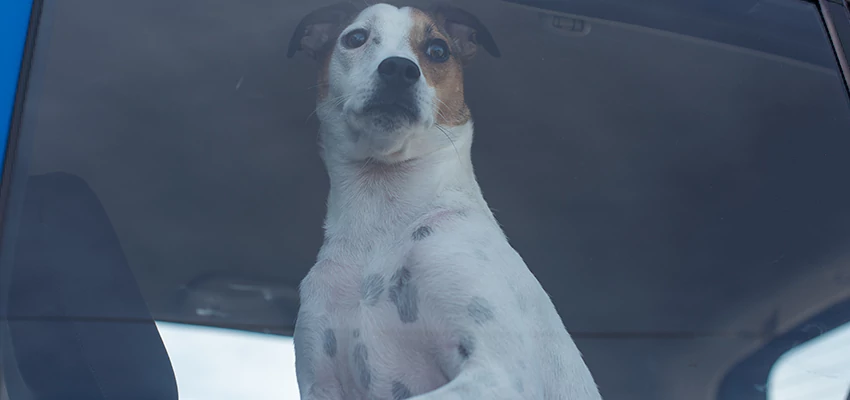 Car Lockout Solutions in Castaic, California